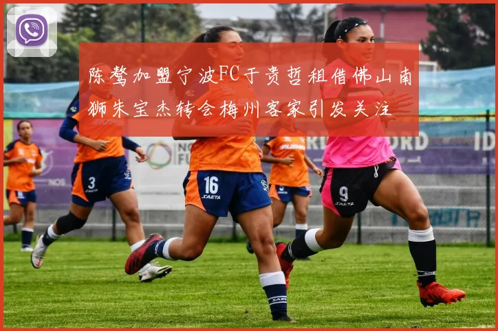 陈骜加盟宁波FC于贵哲租借佛山南狮朱宝杰转会梅州客家引发关注
