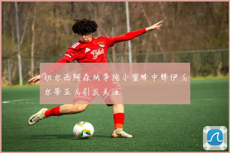 切尔西阿森纳争抢小蜜蜂中锋伊戈尔蒂亚戈引发关注